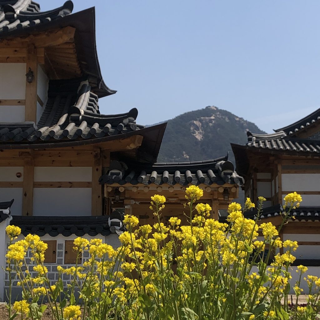 프로그램 차이와 구성 이해 가이드